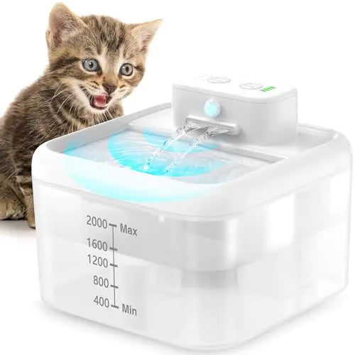 Battery Operated Cat Water Fountain68Oz/2L Wireless Pet Water Fountain with Motion SensorAutomatic Cat Water Fountain CordlessQuiet PumpBPA-FreeWhite